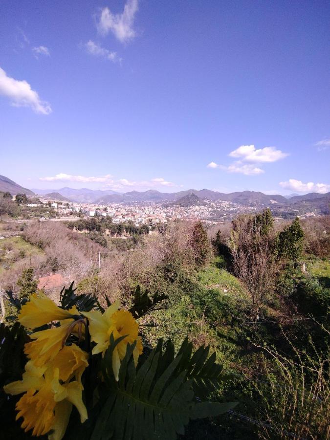 Apartmán Il Casadduoglio 31 Vietri Exteriér fotografie